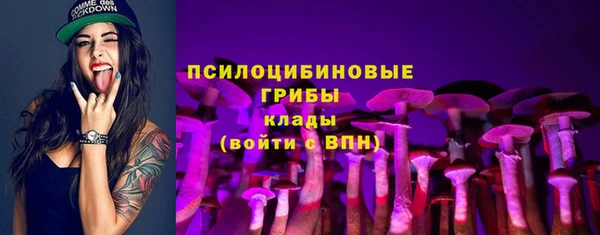 крисы Аркадак