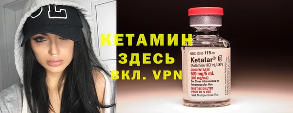 крисы Аркадак