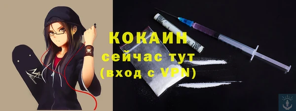 шишки Армянск