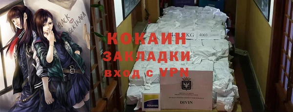шишки Армянск