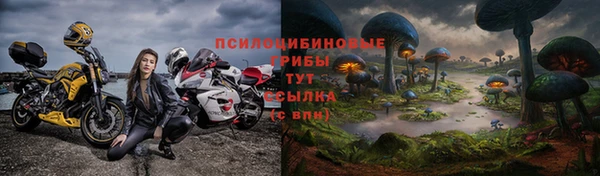 крисы Аркадак
